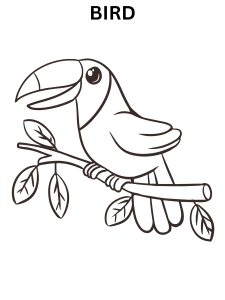 Forest Bird Coloring Pages