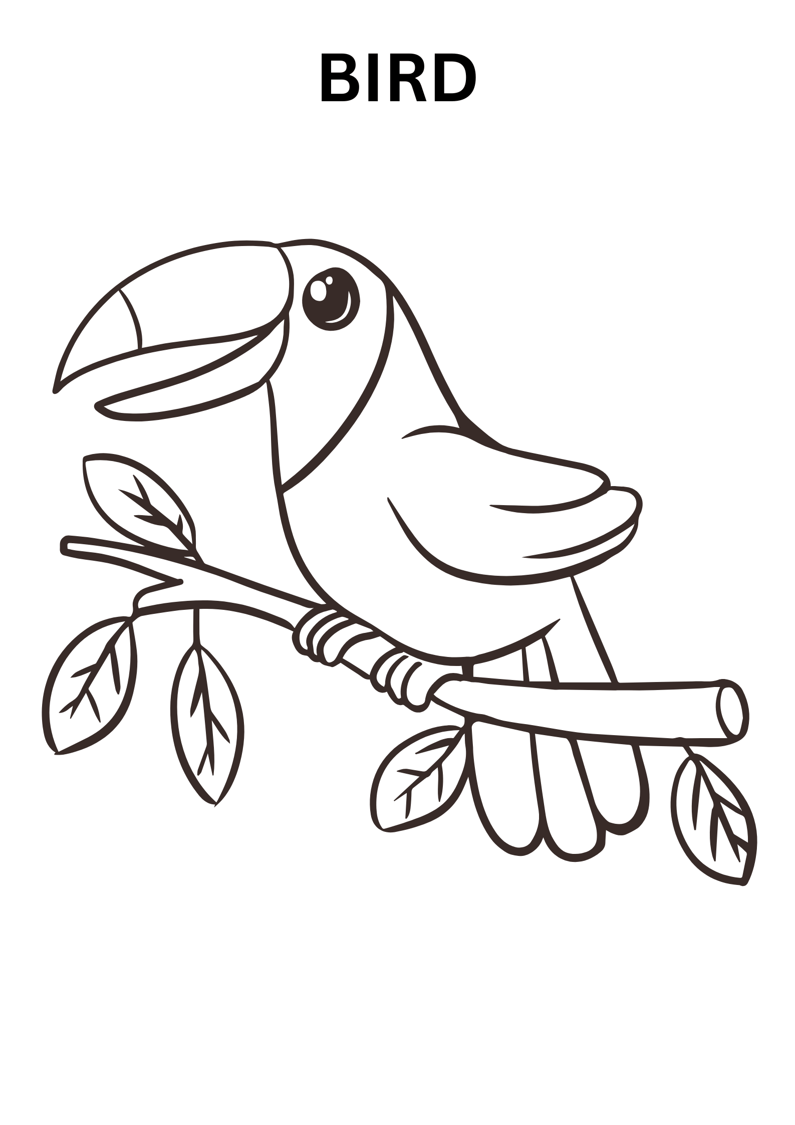 Forest Bird Coloring Pages