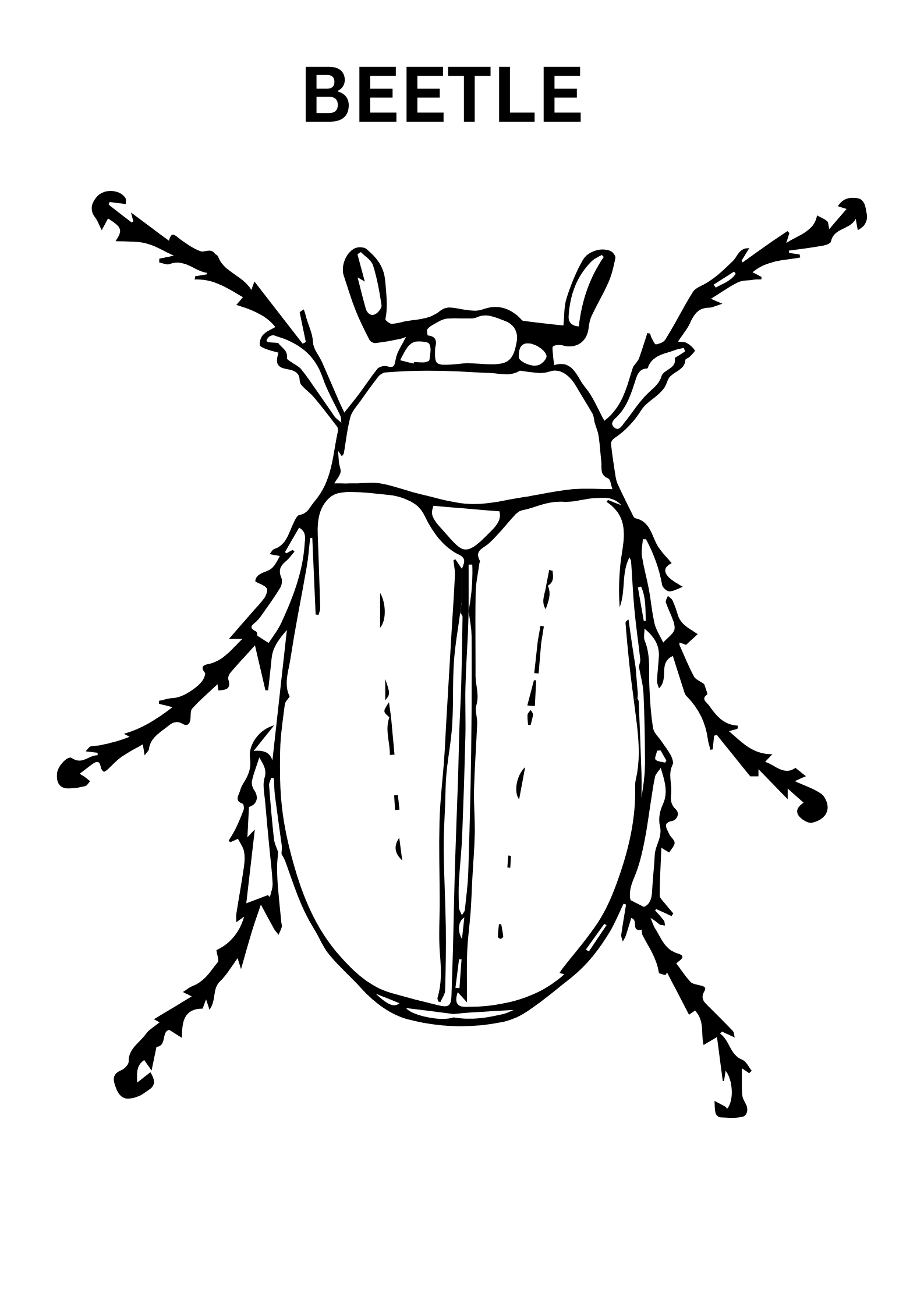 Nature Inspired Beetle Coloring Pages