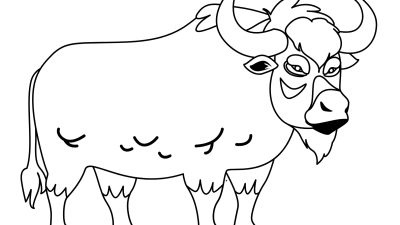 Online Bison Coloring Pages For Kids