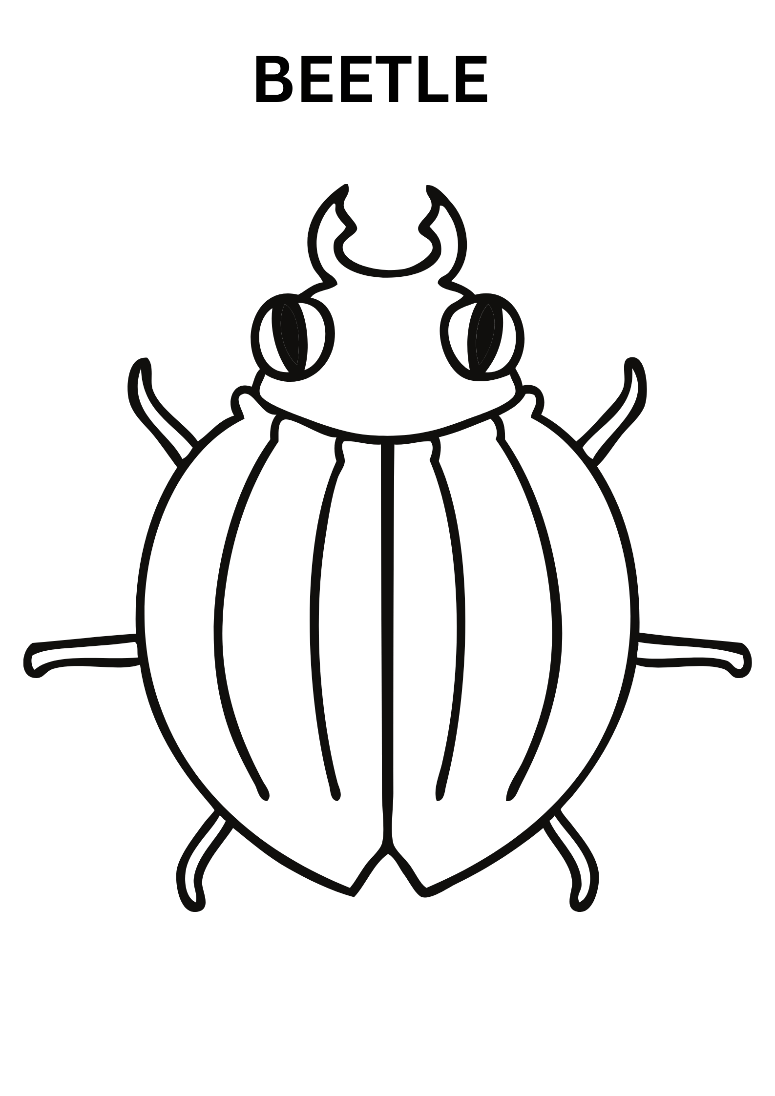 Printable Beetle Coloring Pages Online