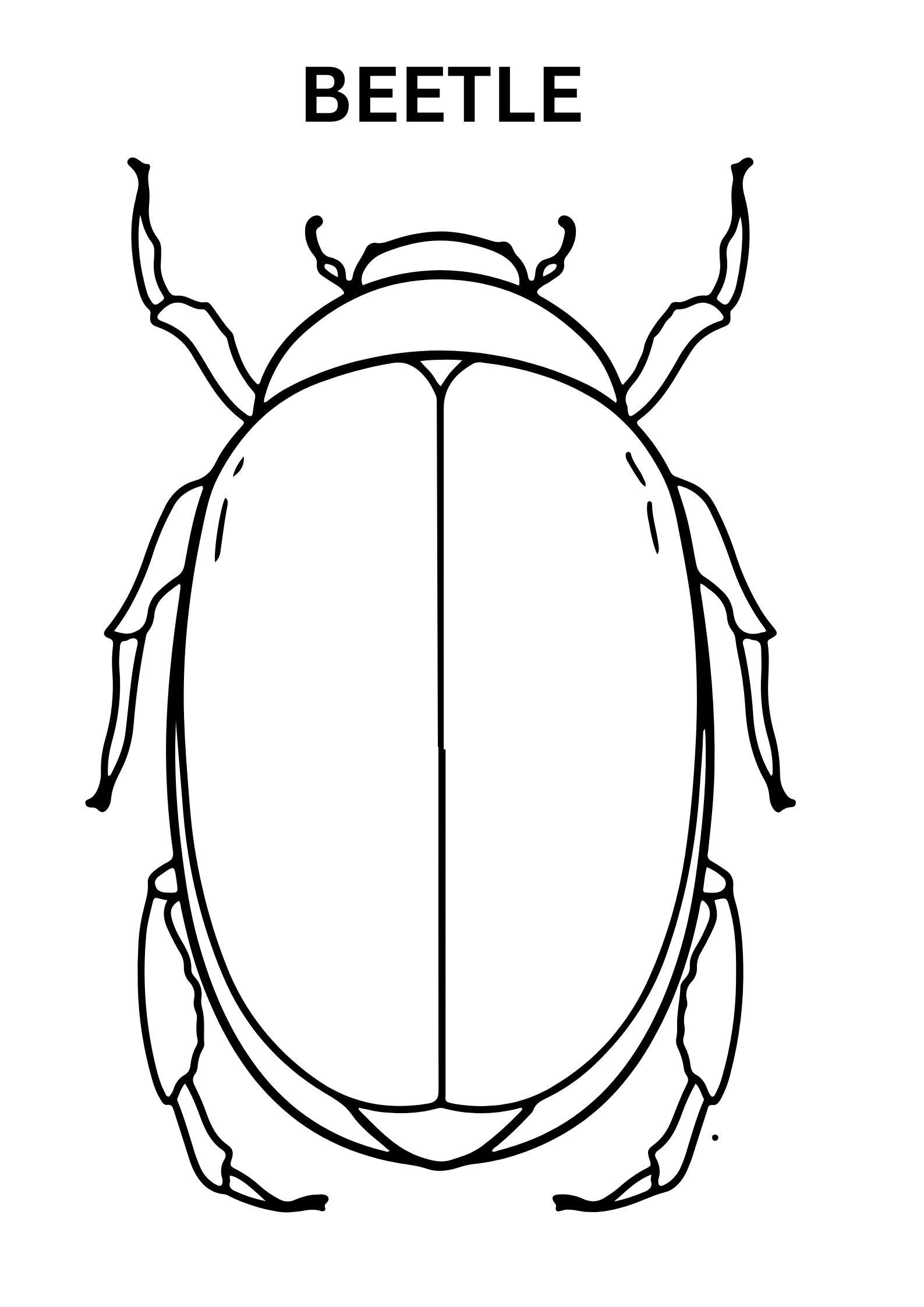 Realistic Beetle Coloring Pages