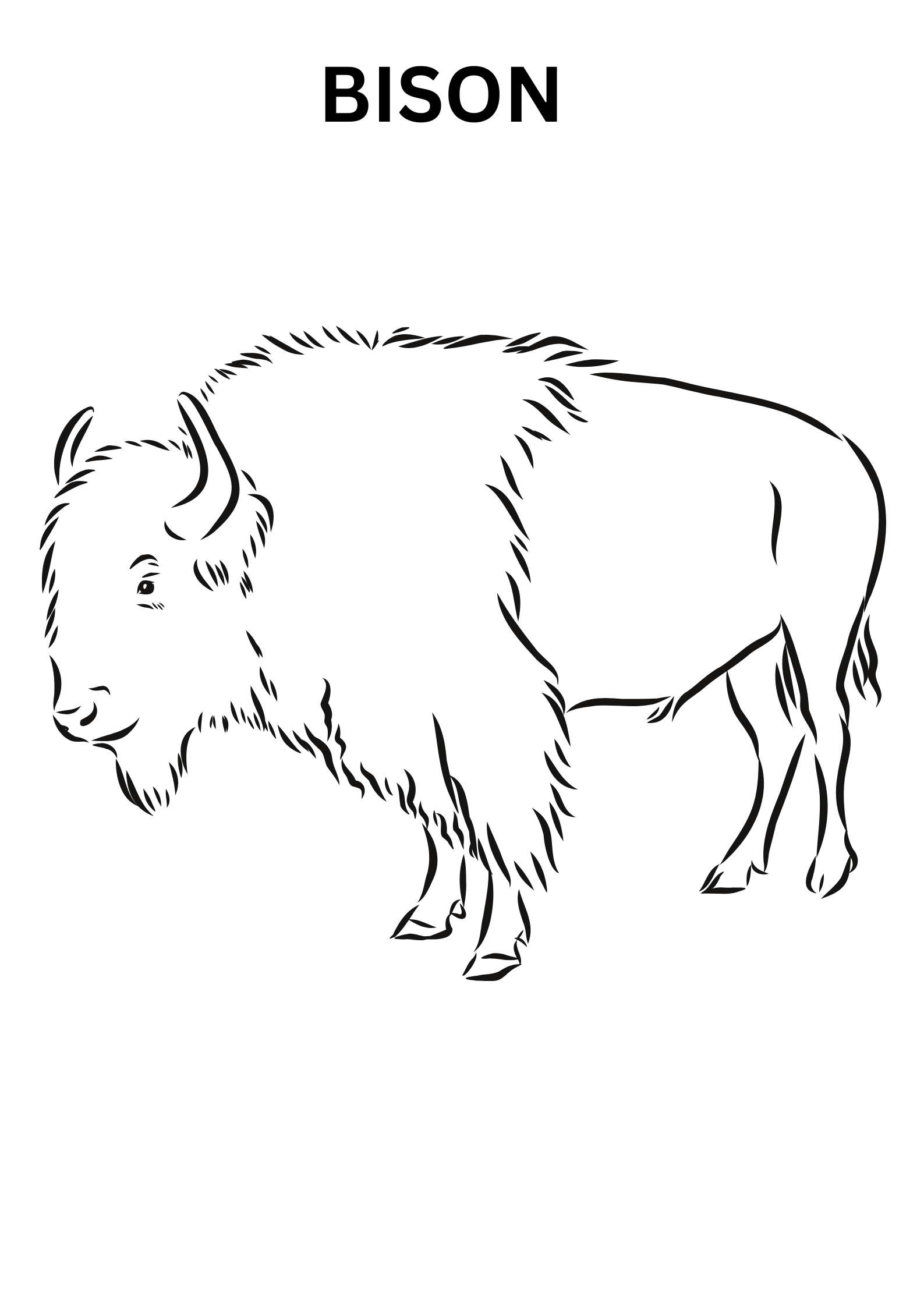 Realistic Bison Coloring Pages