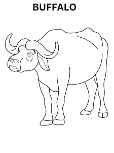 Realistic Buffalo Coloring Pages