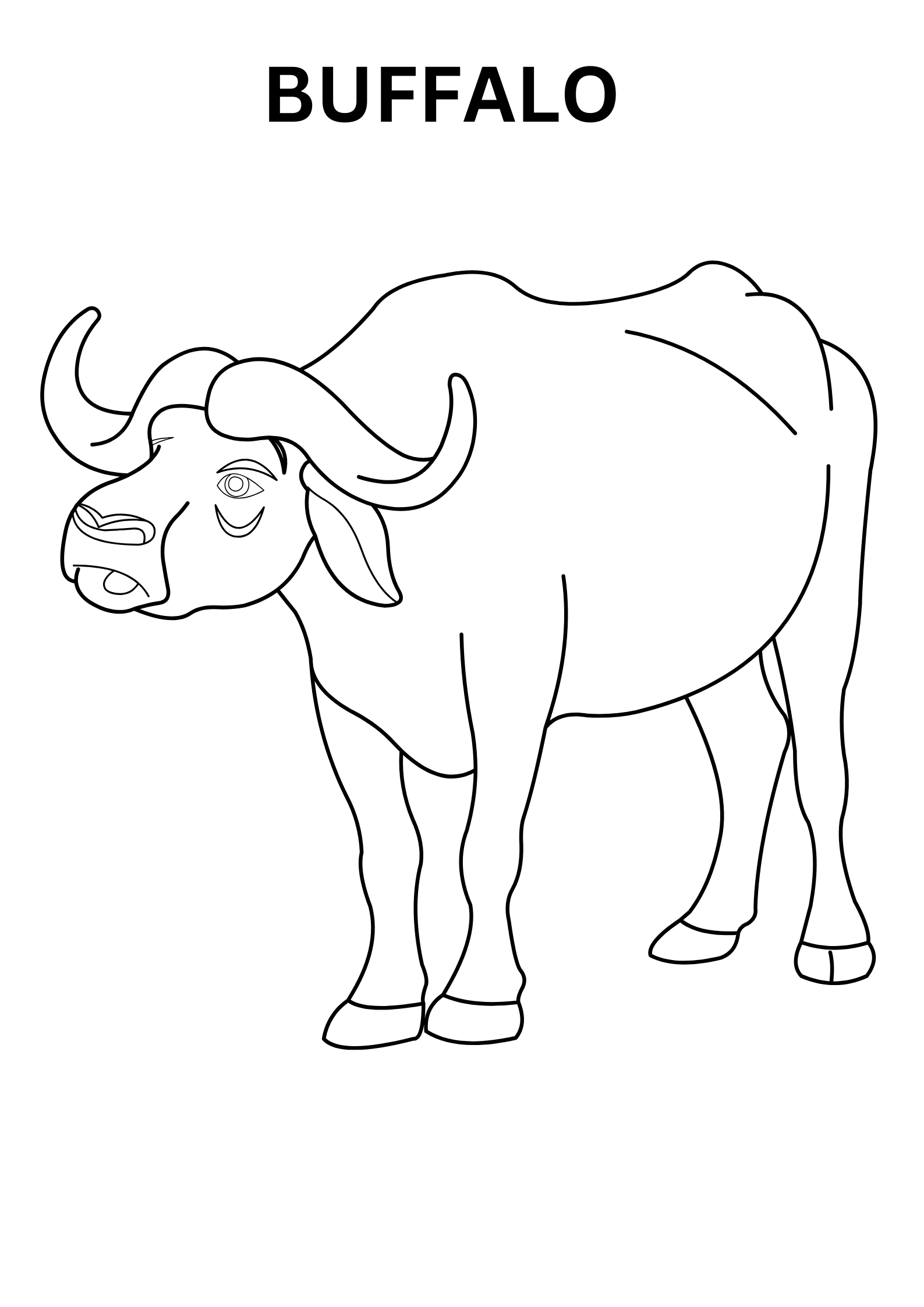 Realistic Buffalo Coloring Pages