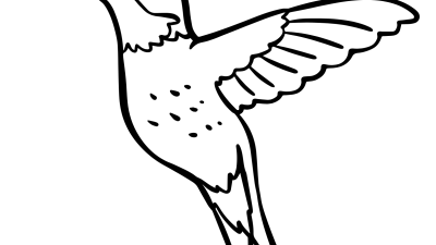 Simple Bird Coloring Sheets