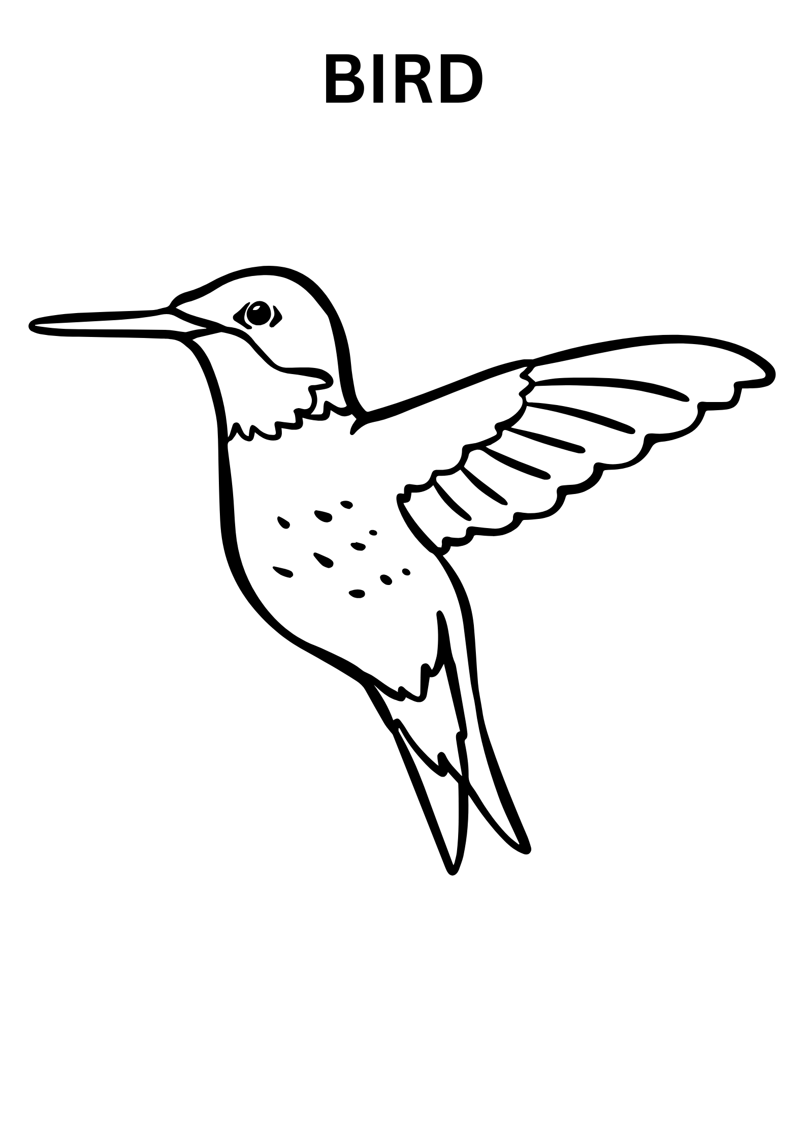 Simple Bird Coloring Sheets