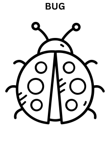 Simple Bug Coloring Pages