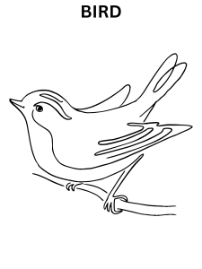 Spring Bird Coloring Pages