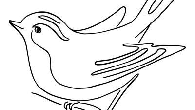 Spring Bird Coloring Pages