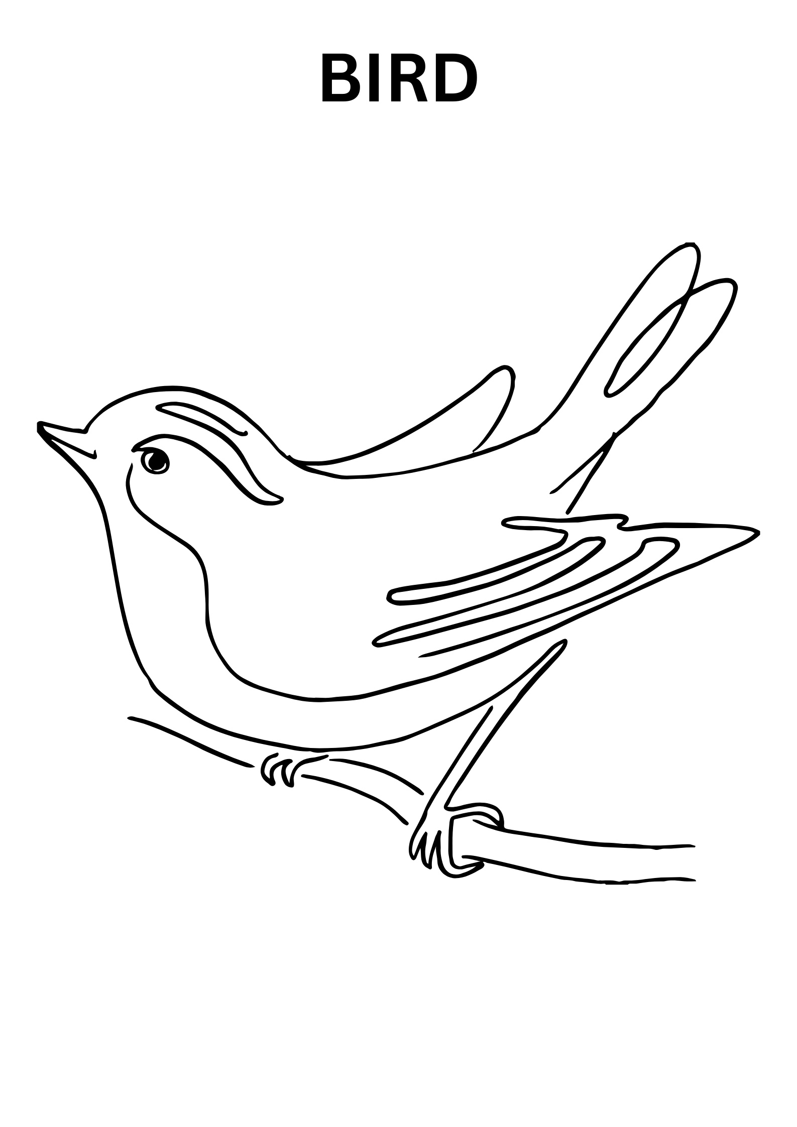 Spring Bird Coloring Pages