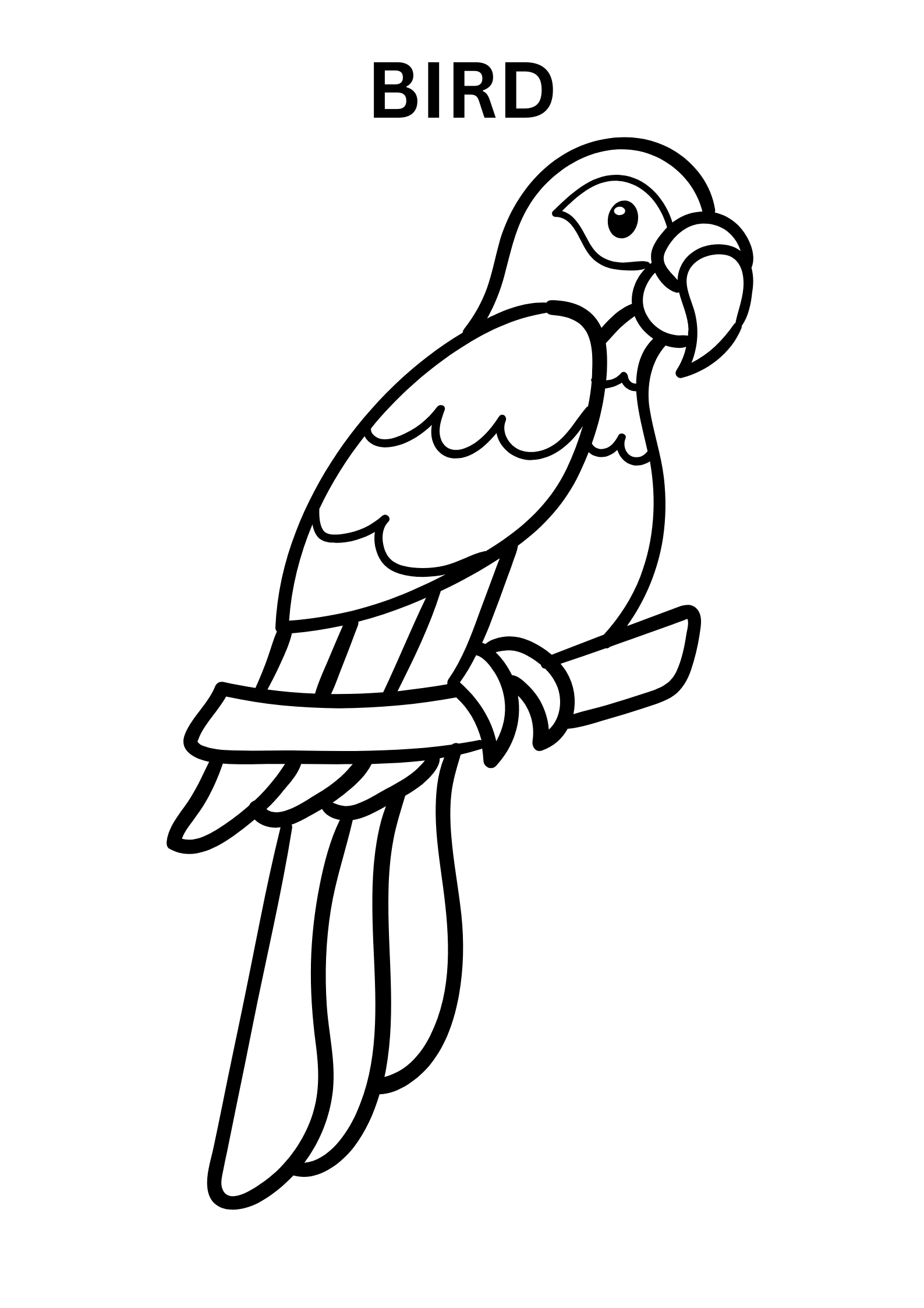 Tropical Bird Coloring Pages