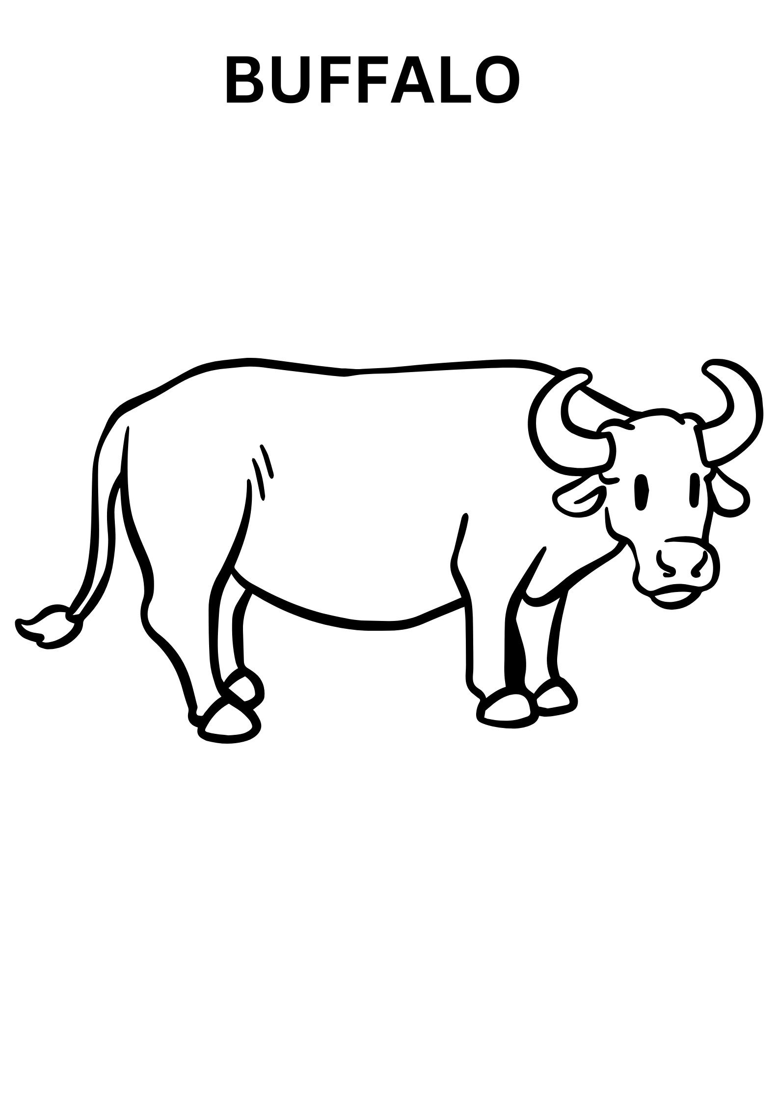 Water Buffalo Coloring Pages