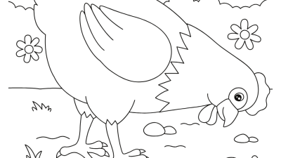 Chicken picture to colour online