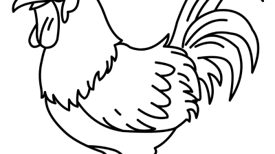 Chicken rooster coloring pages for kids