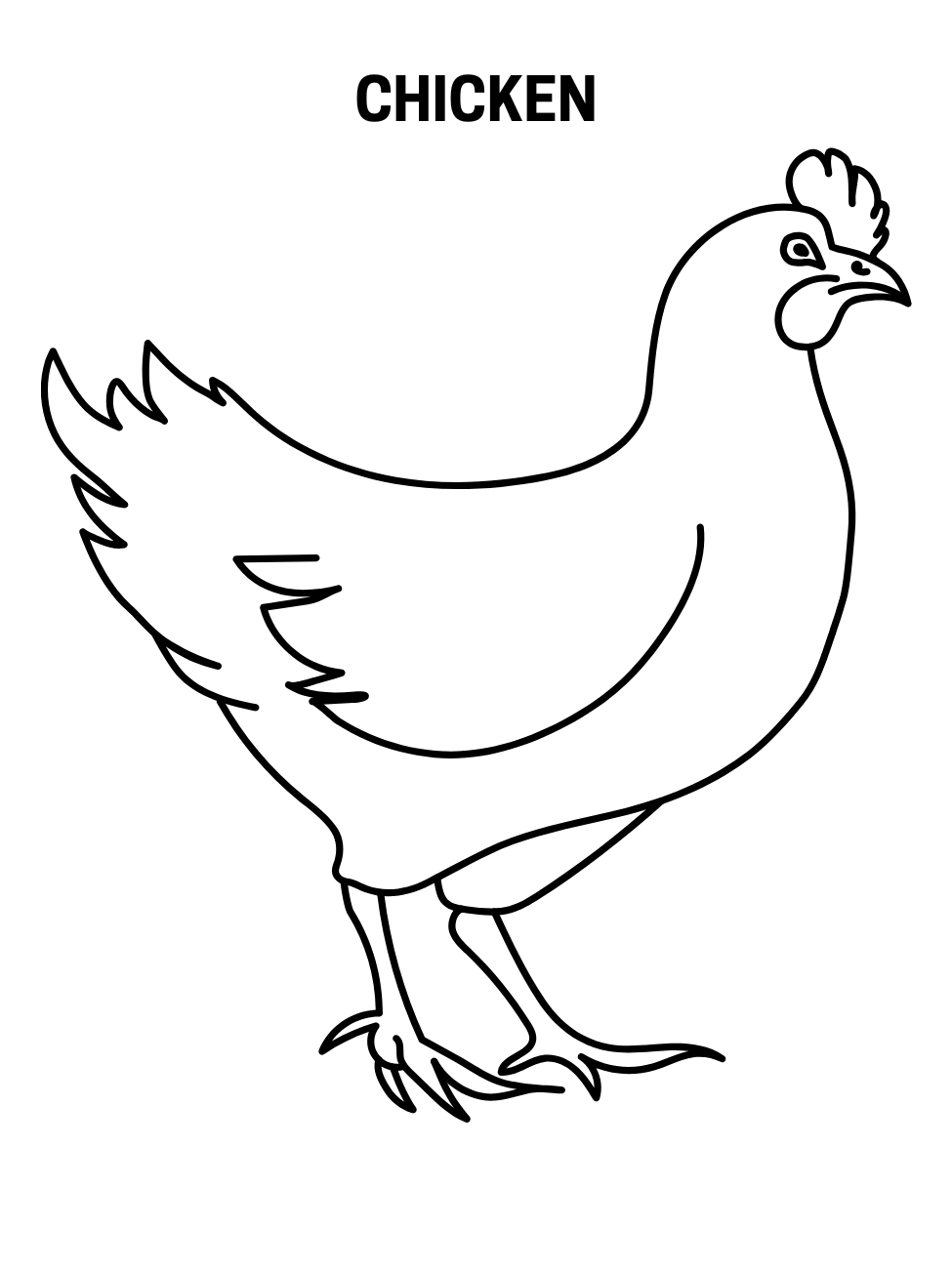 Chicken coloring pages for kids