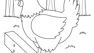 Realistic chicken coloring pages