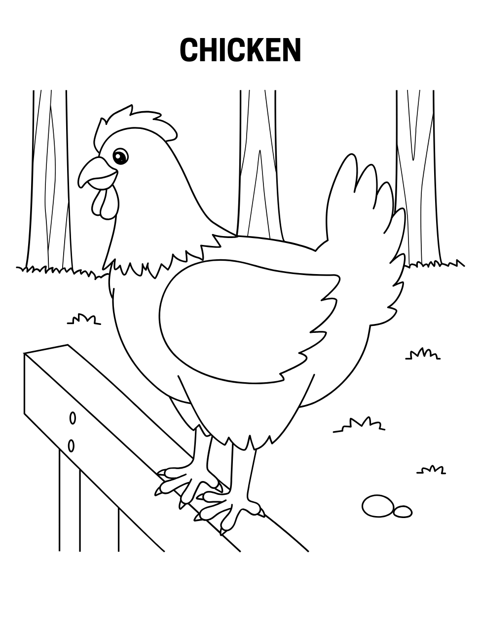 Realistic chicken coloring pages