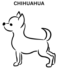Chihuahua coloring pages fot toddlers