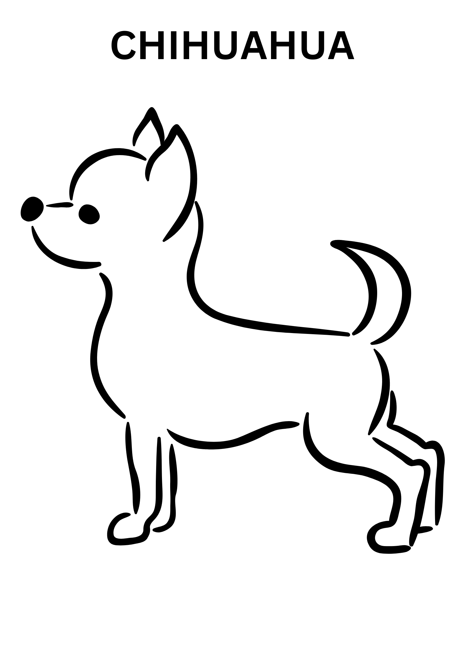 Chihuahua coloring pages fot toddlers