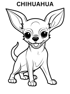 Chihuahua picture to color online